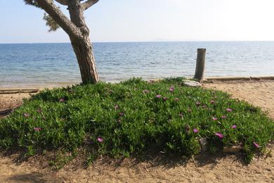 Sandee Plage De Pansard Photo