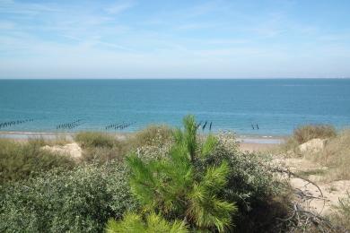 Sandee Plage De Boyardville