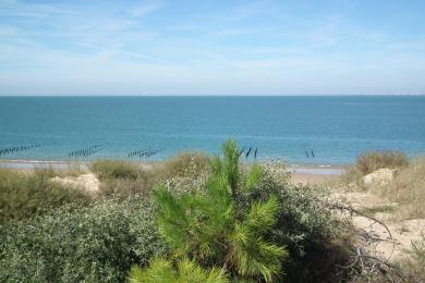 Sandee Plage De Boyardville Photo