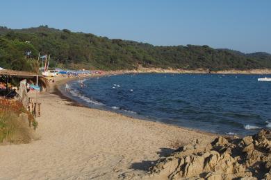 Sandee Plage De Gigaro Photo