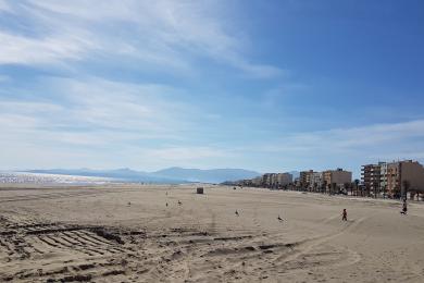 Sandee Plage De La Jetee