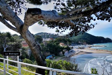 Sandee Plage De La Madrague Photo