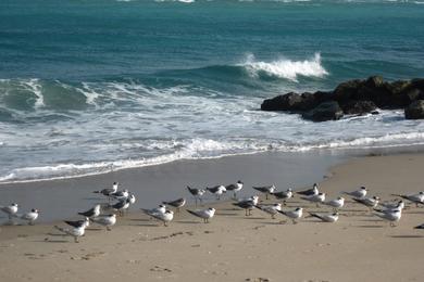 Sandee - South Inlet Park