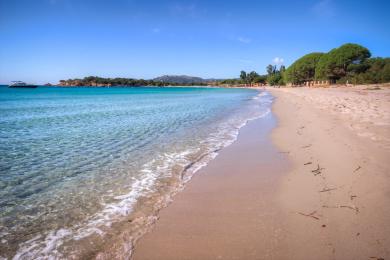 Sandee Plage De Palombaggia