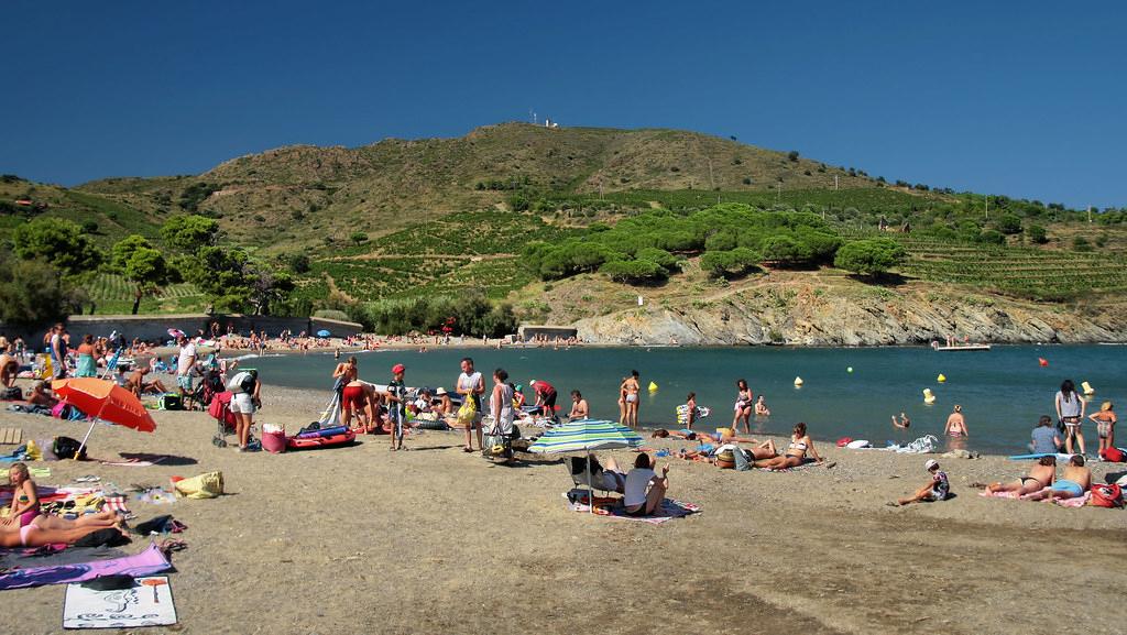 Sandee - Plage De Paulilles