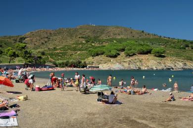 Sandee - Plage De Paulilles