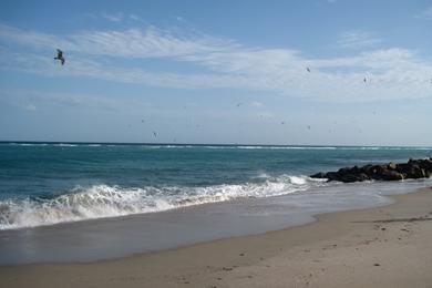 Sandee - South Inlet Park