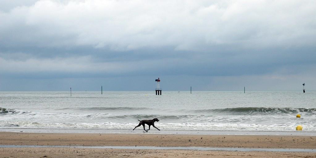 Sandee - Plage De Trouville