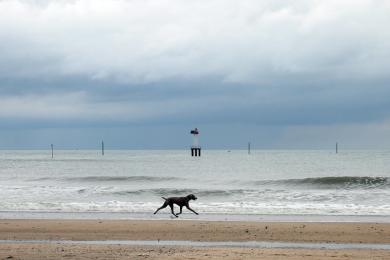 Sandee - Plage De Trouville