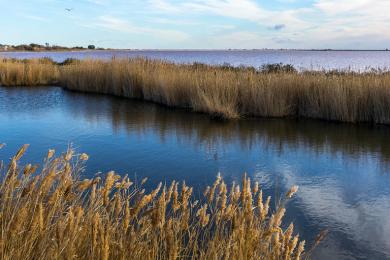 Sandee - Plage Des Aigues Douces