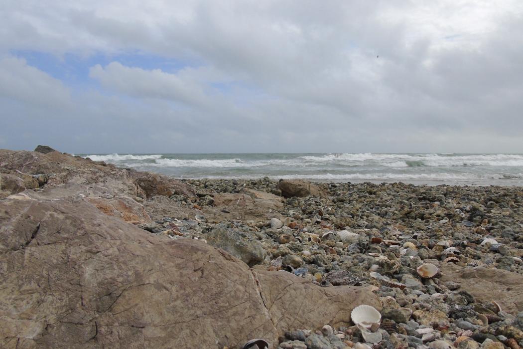 Sandee Plage Des Aresquiers Photo