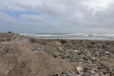 Sandee Plage Des Aresquiers