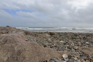 Sandee Plage Des Aresquiers Photo