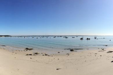 Sandee Plage Des Oiseaux Photo