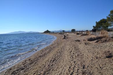 Sandee Plage Des Salins