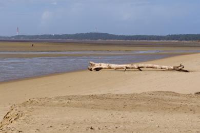 Sandee Plage Mus De Loup