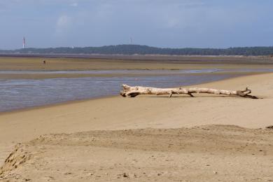 Sandee Plage Mus De Loup Photo