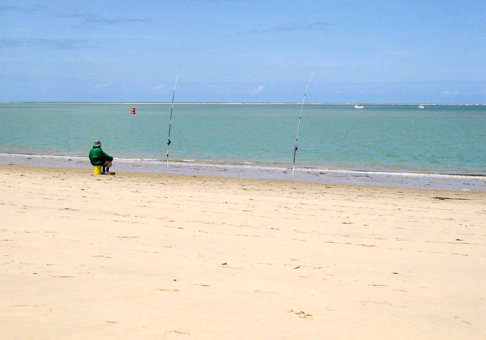 Sandee - Plage Ronce Les Bains