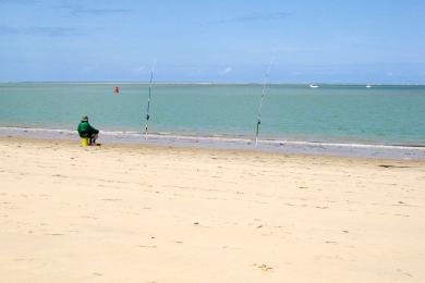 Sandee Plage Ronce Les Bains