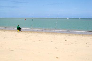 Sandee Plage Ronce Les Bains Photo