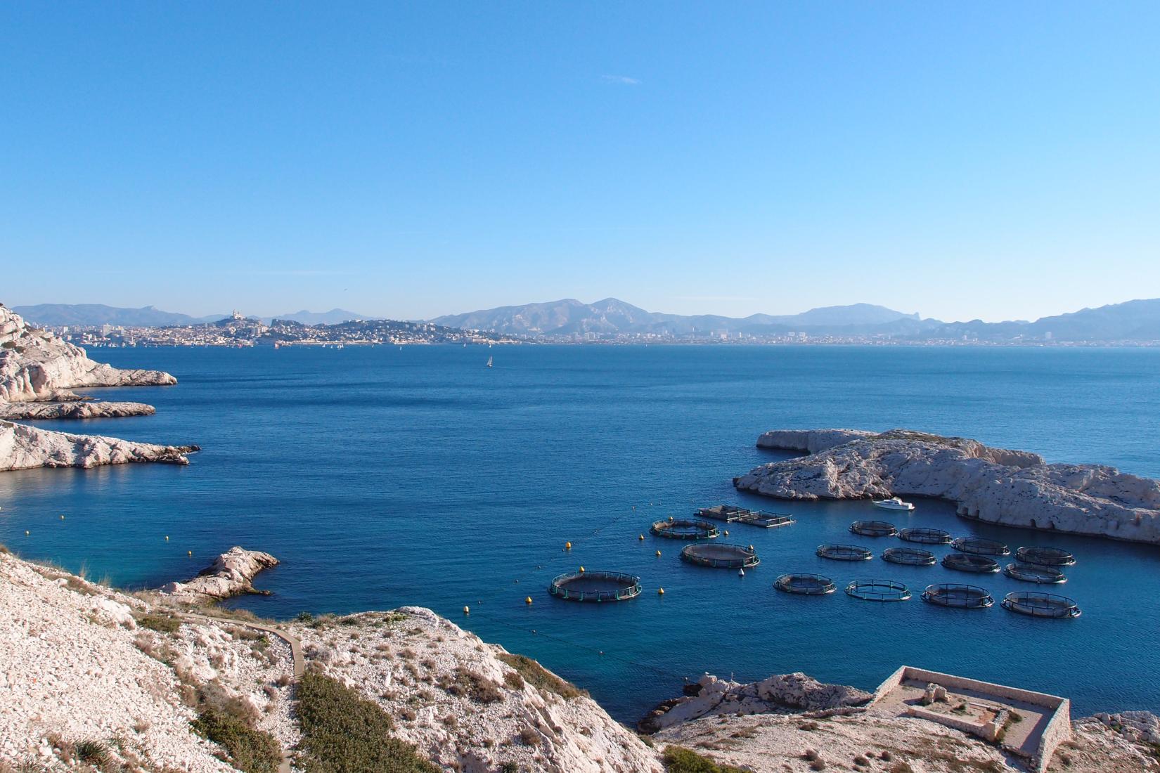 Sandee - Calanque Cap Frioul