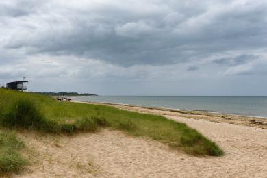 Sandee Juno Beach Photo