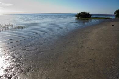 Sandee Robert K. Rees Park Beach Photo