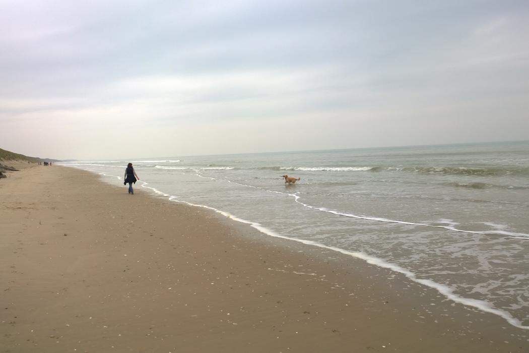 Sandee Le Touquet Beach