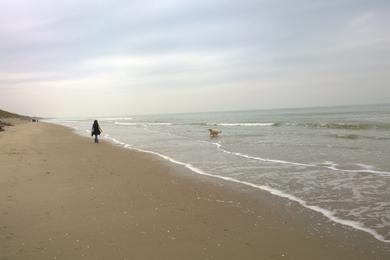 Sandee Le Touquet Beach