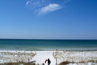 Sandee St. Andrews State Park Photo