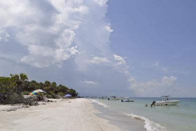 Sandee - Egmont Key State Park