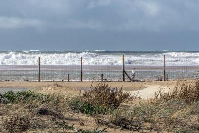 Sandee - Playa El Palmar