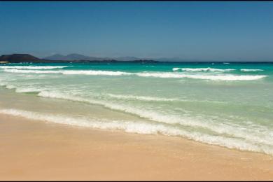 Sandee - Playa De Corralejo