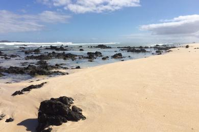 Sandee - Playa De Corralejo