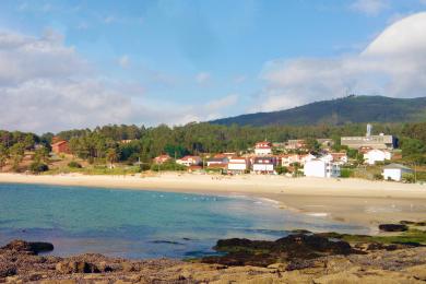 Sandee Ornanda / Gaviotas