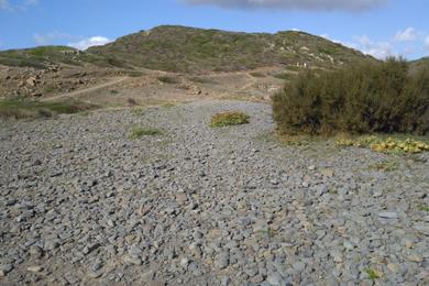 Sandee - Cala De Las Rocas