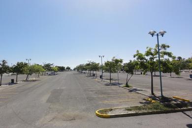 Sandee La Guancha