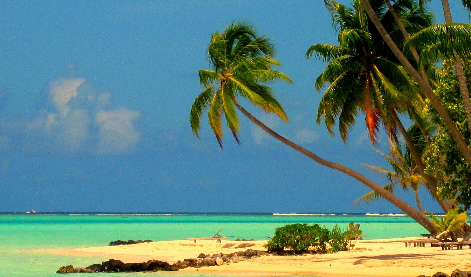 Sandee - Bora Bora Beach