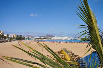 Sandee - Playa De Las Alcaravaneras