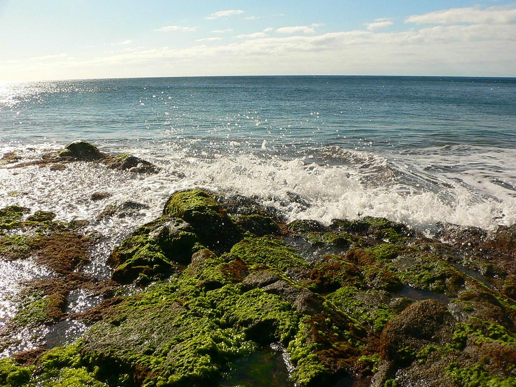 Sandee - El Castillo Beach