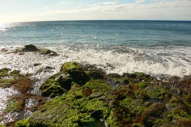 Sandee - El Castillo Beach