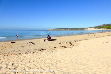 Sandee - Playa De Bolonia