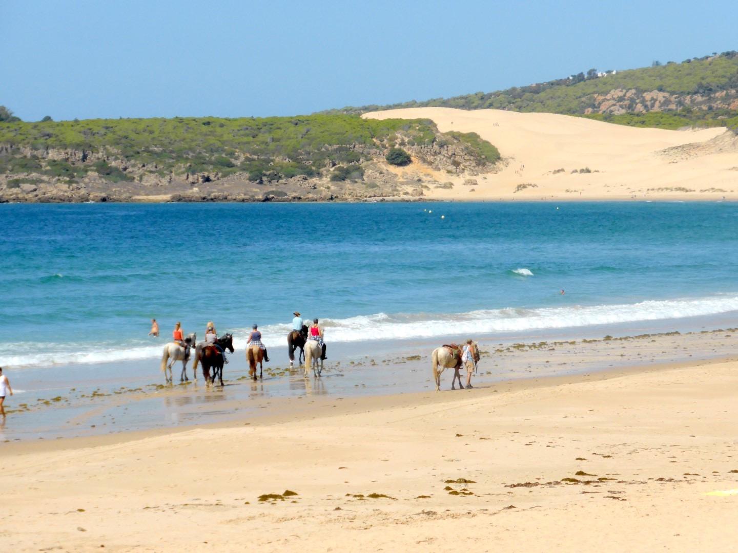 Sandee - Playa De Bolonia