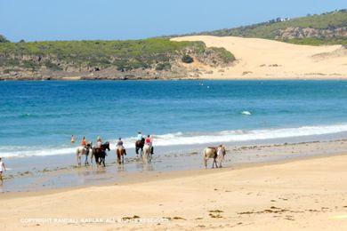 Sandee - Playa De Bolonia