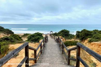 Sandee - Roche Beach