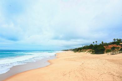 Sandee - Roche Beach