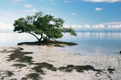 Sandee - Anne's Beach