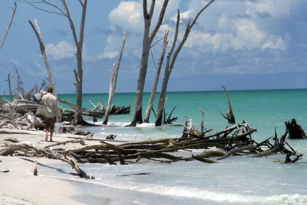 Sandee Beer Can Island Beach