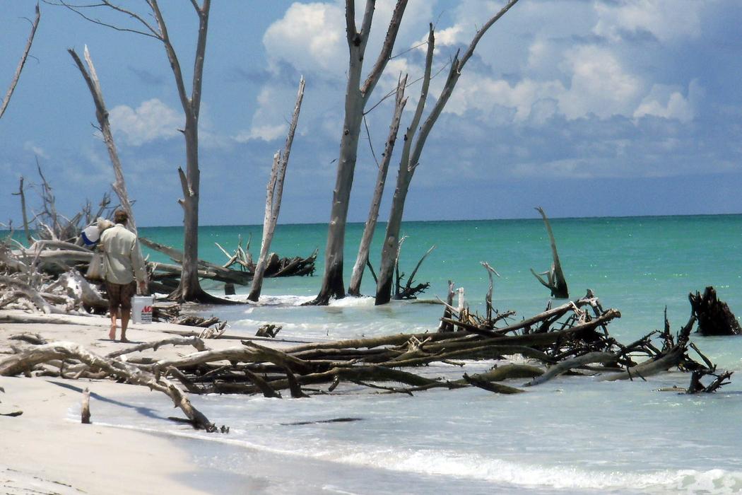 Sandee Beer Can Island Beach Photo