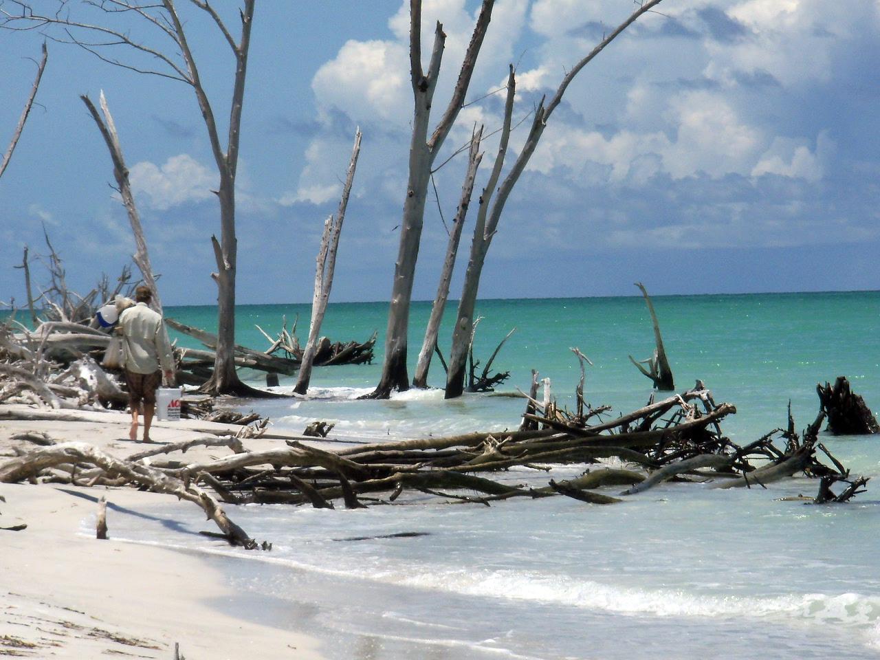 Sandee - Beer Can Island Beach